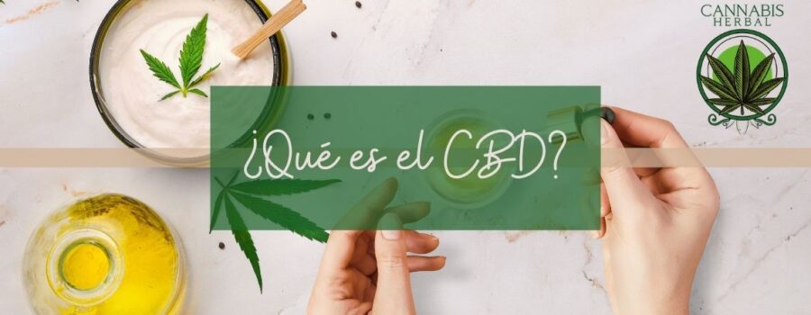 ¿Qué es el CBD?