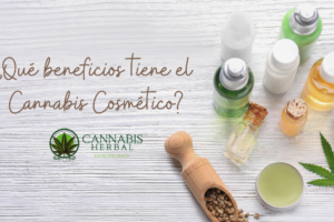 Beneficios del Cannabis Cosmético