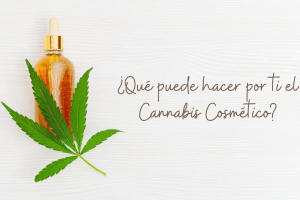 ¿Qué puede hacer por ti el Cannabis Cosmético?