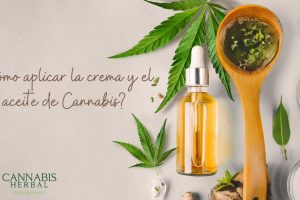 ¿Cómo aplicar la crema y el aceite de Cannabis?