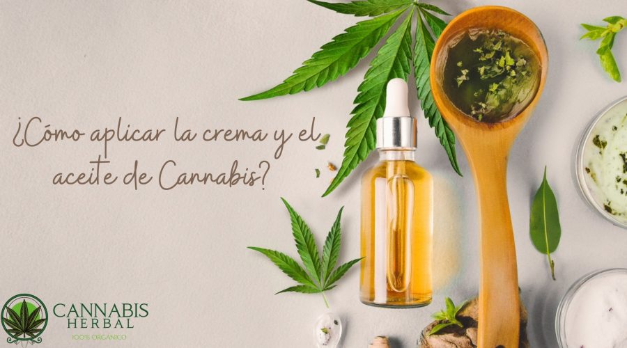 ¿Cómo aplicar la crema y el aceite de Cannabis?