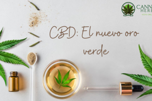 CBD El nuevo oro verde