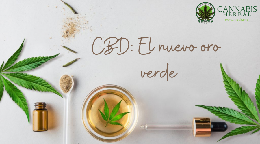 CBD El nuevo oro verde