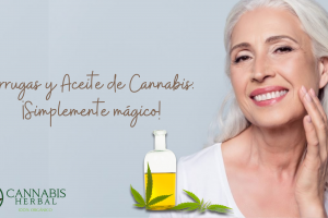 Arrugas y Aceite de Cannabis