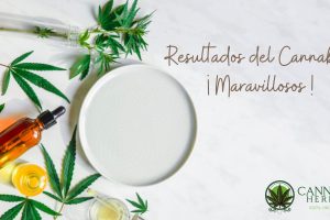 Resultados del Cannabis: ¡Maravillosos!