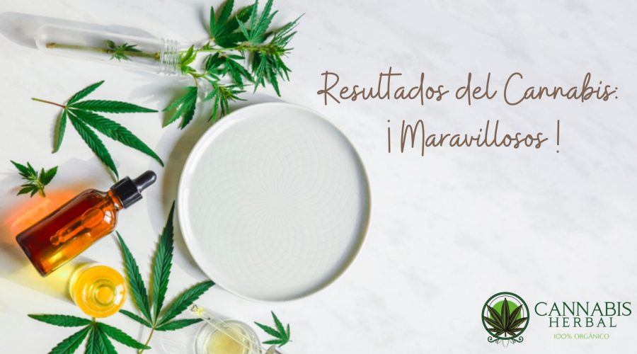 Resultados del Cannabis: ¡Maravillosos!