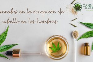 Cannabis en la recepción de cabello en los hombres