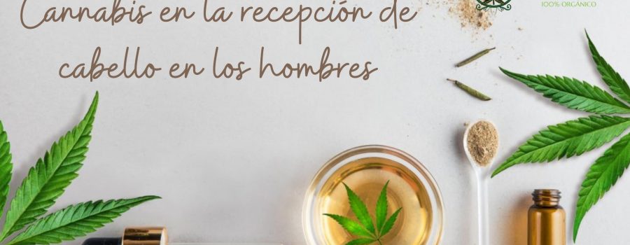 Cannabis en la recepción de cabello en los hombres