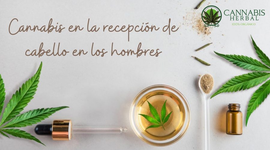 Cannabis en la recepción de cabello en los hombres