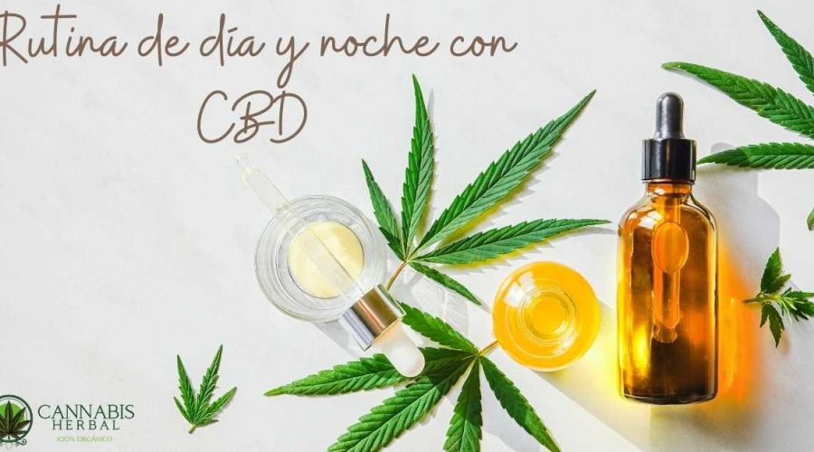 Rutina de día y noche con CBD