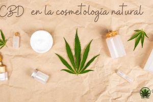 El CBD  en la cosmetología natural