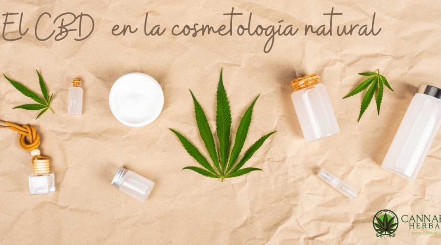 El CBD  en la cosmetología natural